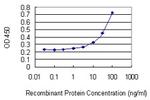 PIGR Monoclonal Antibody (2G5)