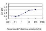 PIM1 Monoclonal Antibody (1C12)
