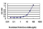 PIM1 Monoclonal Antibody (6G6)