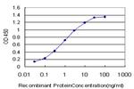 PLP1 Antibody in ELISA (ELISA)