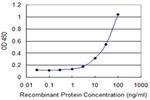 PMCH Monoclonal Antibody (1D1)