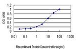 PML Antibody in ELISA (ELISA)
