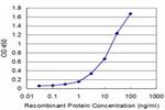 PPOX Antibody in ELISA (ELISA)