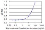 PPP2R5D Antibody in ELISA (ELISA)