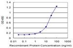 PPP2R5D Antibody in ELISA (ELISA)