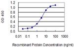 PRH2 Antibody in ELISA (ELISA)