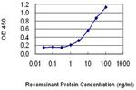 PKIB Monoclonal Antibody (7F8)