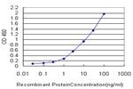 PRKCD Monoclonal Antibody (8G2)