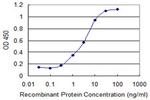 PRKCD Antibody in ELISA (ELISA)