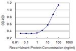 PRKDC Antibody in ELISA (ELISA)