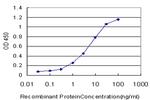 MAP2K5 Antibody in ELISA (ELISA)