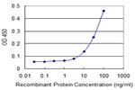 PRM1 Monoclonal Antibody (4F10)