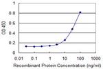 PRPH Antibody in ELISA (ELISA)