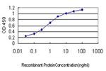 PRSS7 Antibody in ELISA (ELISA)