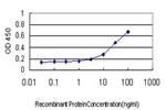 PSMB6 Antibody in ELISA (ELISA)