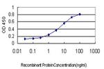PTCH Monoclonal Antibody (8E1)