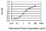 PTPN14 Antibody in ELISA (ELISA)