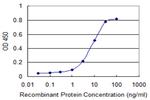 PTPRN2 Monoclonal Antibody (7G8)