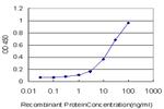 RBMS2 Antibody in ELISA (ELISA)