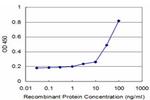 RBP4 Monoclonal Antibody (1E3)