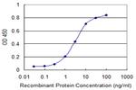 UPF1 Monoclonal Antibody (4G3)