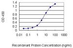RFX5 Antibody in ELISA (ELISA)
