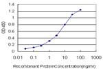 RORB Antibody in ELISA (ELISA)