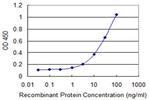 RPS14 Monoclonal Antibody (1E8)