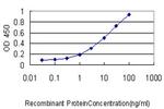 S100A4 Antibody in ELISA (ELISA)