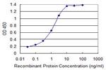 S100A11 Antibody in ELISA (ELISA)