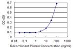 SCNN1G Antibody in ELISA (ELISA)