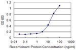 CCL1 Monoclonal Antibody (4E4)