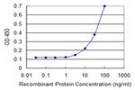 CCL2 Antibody in ELISA (ELISA)