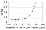 SDC2 Monoclonal Antibody (1B2)