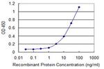 SFTPC Monoclonal Antibody (4A10)