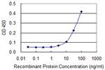 SCG5 Antibody in ELISA (ELISA)