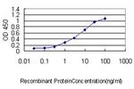 SH3BGRL Monoclonal Antibody (3B8)