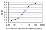 SIM2 Monoclonal Antibody (3E6)