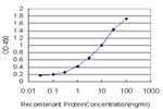 SREBF1 Antibody in ELISA (ELISA)