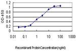 SSR1 Antibody in ELISA (ELISA)