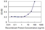 SSTR1 Monoclonal Antibody (4E3)