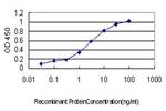 CDKL5 Monoclonal Antibody (1D9)