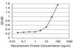 SYN1 Monoclonal Antibody (1D10)
