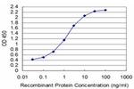 T Antibody in ELISA (ELISA)