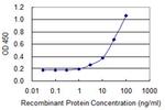 TRA Antibody in ELISA (ELISA)