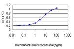 TEK Antibody in ELISA (ELISA)