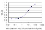 TLR2 Monoclonal Antibody (2A3)