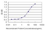 TLR2 Monoclonal Antibody (1E7)