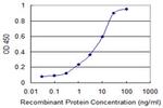 TNF Antibody in ELISA (ELISA)
