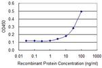 TP53 Antibody in ELISA (ELISA)